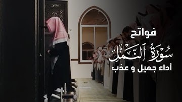 فواتح سورة النمل عشاء السبت | تلاوة رائعة للقارئ عبدالله الموسى ١٠ جمادى الآخرة ١٤٤٥هـ