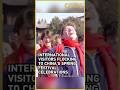 International visitors flock to China's Spring Festival celebrations