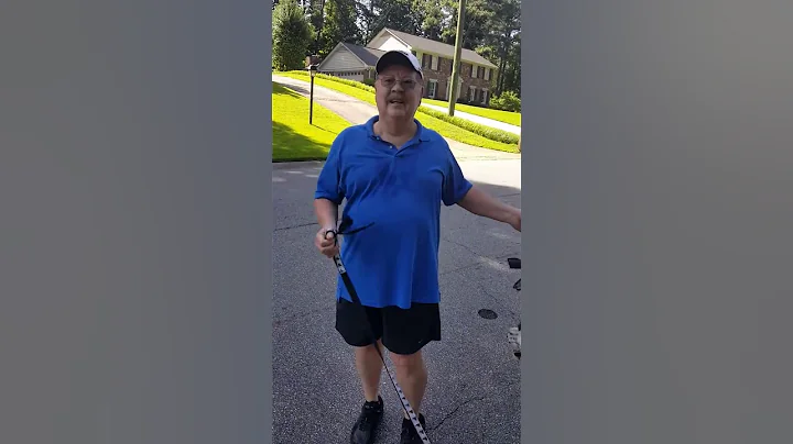 Dog walker encounters Lion and Zebra while walking...