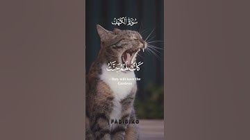 #quran #اكسبلور #quranic #دويتو #القرآن_الكريم #cat #تلاوة_خاشعة #قرآن #تيك_توك #duet #اكسبلور_فولو