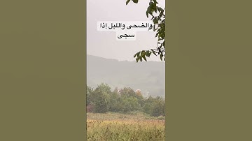 سورة الضحى تلاوة رائعة #الشيخ #video #viralvideo #viral #قران_كريم #القرآن_الكريم #المنشاوي #المصحف