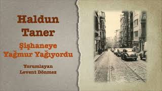 Haldun Taner - Şişhaneye Yağmur Yağıyordu