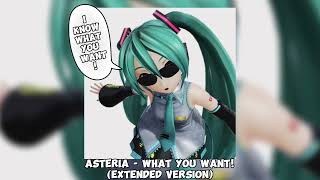 Asteria - WHAT YOU WANT! (Feat. Hatsune Miku) (Extended Version)
