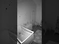 Le bébé dort… mais le chien voit autre chose
