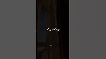 فَالْتَمِسُوا نُورًا | تلاوة خاشعة | القارئ سلمان العتيبي | حالات واتس#القرآن_الكريم