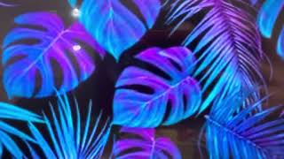 4046 Carousel Horse POV 130 2026