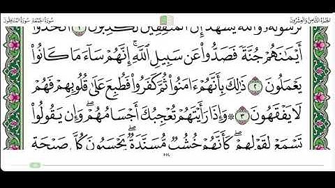 سورة المنافقون من ١ الى ٣ القارئ محمد ايوب