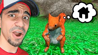 محاكي السنجاب : اكثر لعبة غريبة بالعالم 😂😂 - Squirrel Simulator