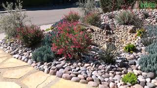 Front Yard Landscaping Ideas With River Rock