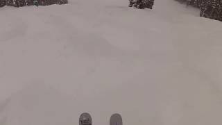 Blackburns Bash Lower
