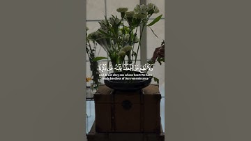 #ياسر_الدوسري#تلاوة_خاشعة#duet#اكسبلور#اجر_لي_ولكم #دويتو#راحة_نفسية#duet#funny#korean#islamicvideo