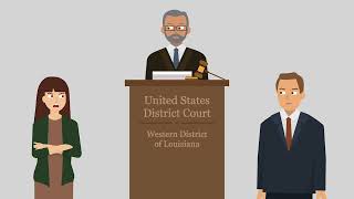 Davis v. Passman Case Brief Summary | Law Case Explained