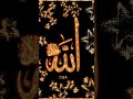 Ajaan sune #ajaan #allah #islam #shorts