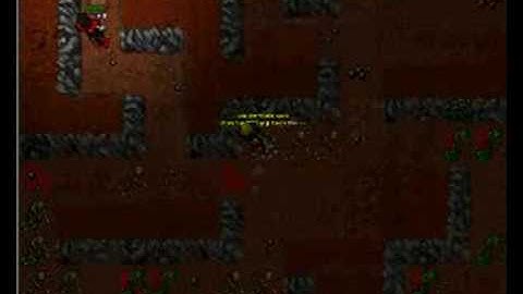 Tibia How to kill a Botter
