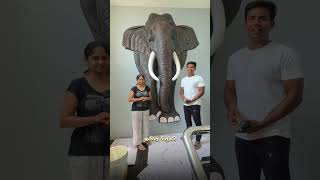elephant wall mural work #tamilsirpi #wallwork #tamilreels #cementwork #muralart