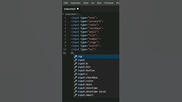 html input types | input types | #html #inputtypes #input #css
