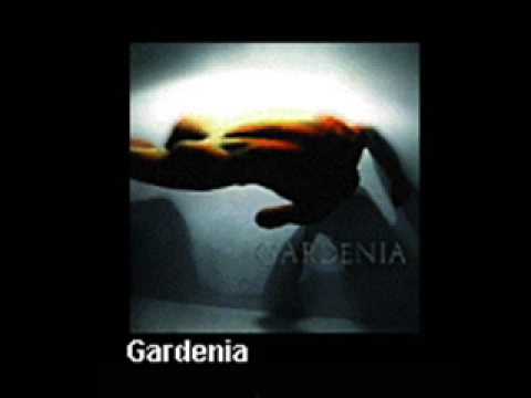 Gardenia - Papierosy i zapałki