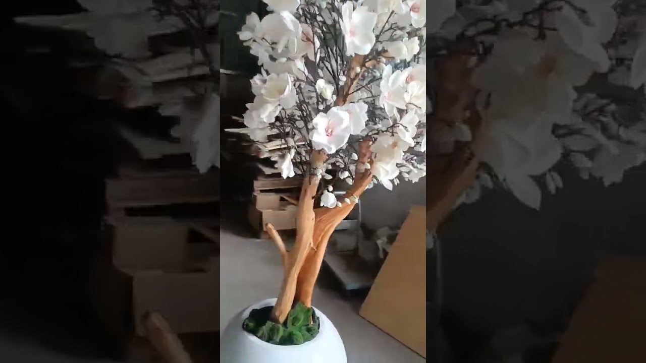 242380870501025234 Inspection Video 