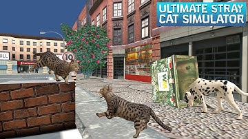 Ultimate Stray Cat Simulator