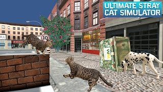 Ultimate Stray Cat Simulator screenshot 4
