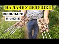 На даче у дедушки: ШАШЛЫКИ и ЕЖИК))))