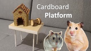 Cardboard Platform DIY for Hamsters