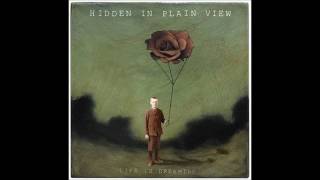 Watch Hidden In Plain View The Point video