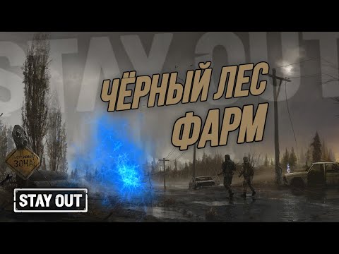 Фарм марафон | 4 дня на боровых в черном лесу | Stay Out | Stalker Online | EU1