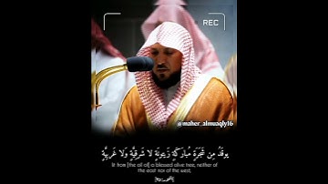 الله نور السماوات والأرض..🥺 تلاوة خاشعة لفضيلة الشيخ د.#ماهر_المعيقلي