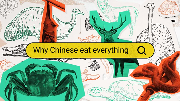 Why Do Chinese People Seem to Eat 'Everything'? - Why Chinese (E1) - DayDayNews