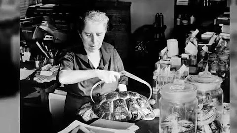 Skin & Bones - Meet the Scientist: Doris Cochran (...