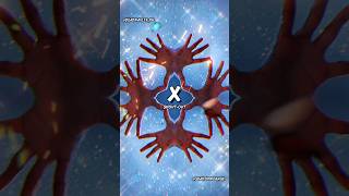 Little Do You Know - Kaleidoscope Fingerdance/Handdance/Tutting