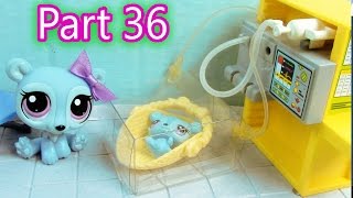 LPS Baby Hospital - Mommies Part 36 Littlest Pet Shop Series Movie LPS Mom Babies LPS Baby Hospital - Mommies Part 36 Littlest Pet Shop Series Movie LPS Mom Babies