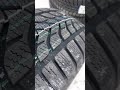 Lassa Competus Winter 2+
