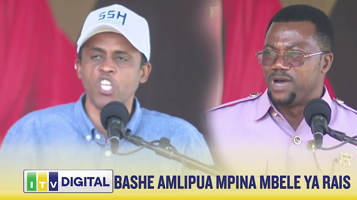 BASHE AMLIPUA LUHAGA MPINA MBELE YA RAIS SAMIA