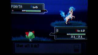 26 - Shiny Ponyta at a chain of 40 on Platinum ( 1 of 2)