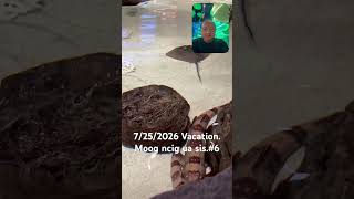 7/25/2026 Vacation. Moog ncig ua sis.#5