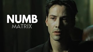 MATRIX || Numb