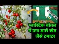 Ulti Plastic Bottel Me Uga Diye Khet Jaise Tamatar | Growing Tomatoes Upside down in Plastic Bottle