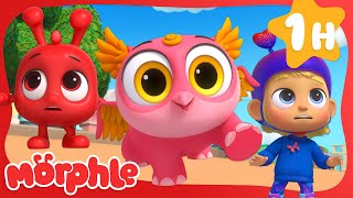 its a hoot brand new cartoons for kids mila and morphle