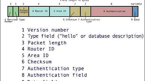 Open Shortest Path First (OSPF) - 9 : OSPF Packets