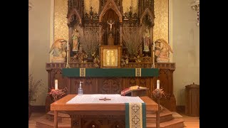 15th Sunday in Ordinary Time