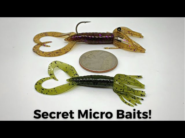 My Secret Micro Bait! 