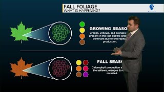 Ep 34: Capping Inversion, Fall Foliage
