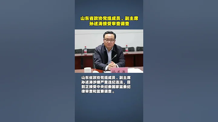 山东省政协副主席孙述涛接受审查调查 - 天天要闻