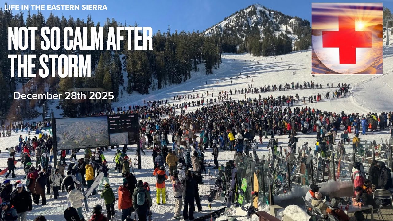 Последствия нашей рождественской метели