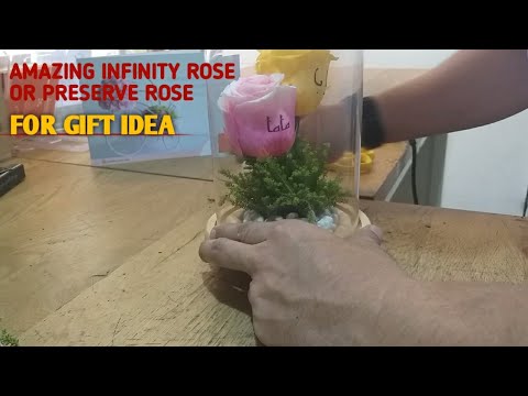 HOW TO MAKE DESIGN AN INFINITY ROSE OR PRESERVE ROSE - YouTube