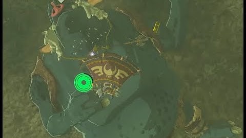 BoTW - How to Rob a Sleeping Hinox