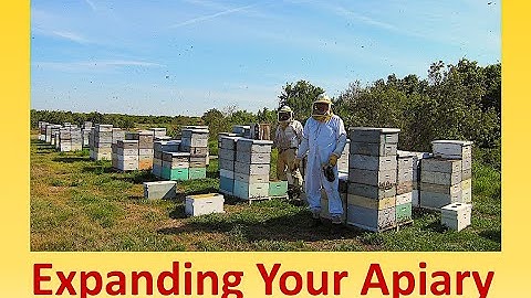 Expanding Your Apiary Part 1
