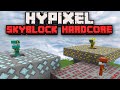 Surviving 100 days in Hypixel Skyblock Hardcore (part 1)